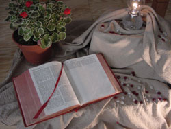 Matthew 28