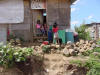 LaLavinya, Guatemala