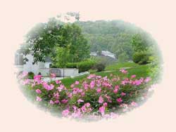 Memorial Garden Flowers